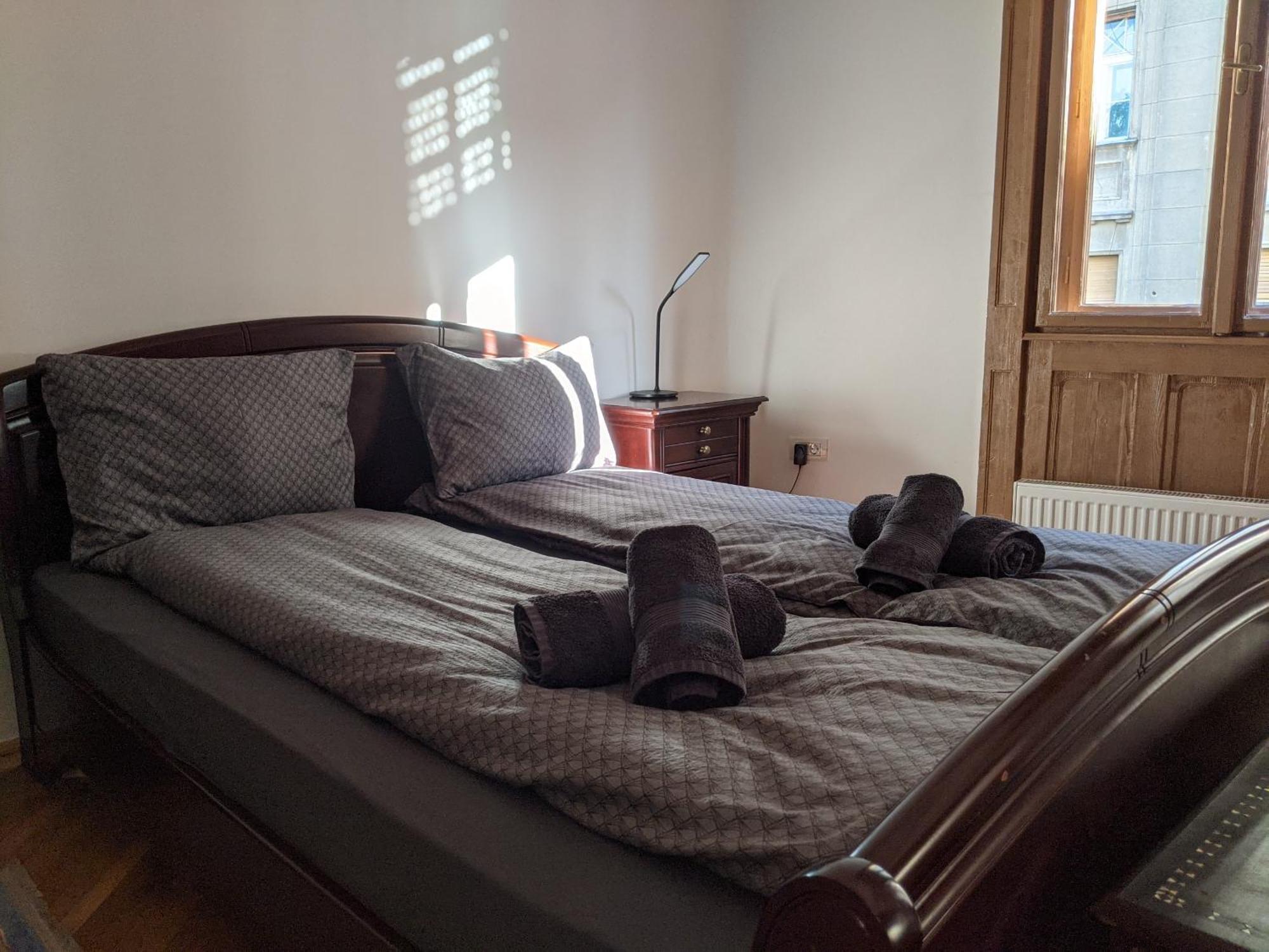 Ultra-Central Apartment In The Loffler Palace Timisoara Ngoại thất bức ảnh
